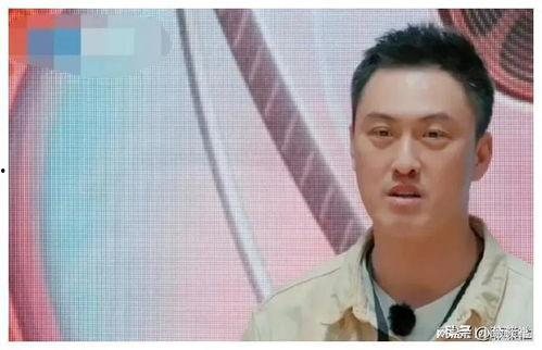 娱乐圈吃瓜汪东城是谁,揭秘“吃瓜”达人汪东城